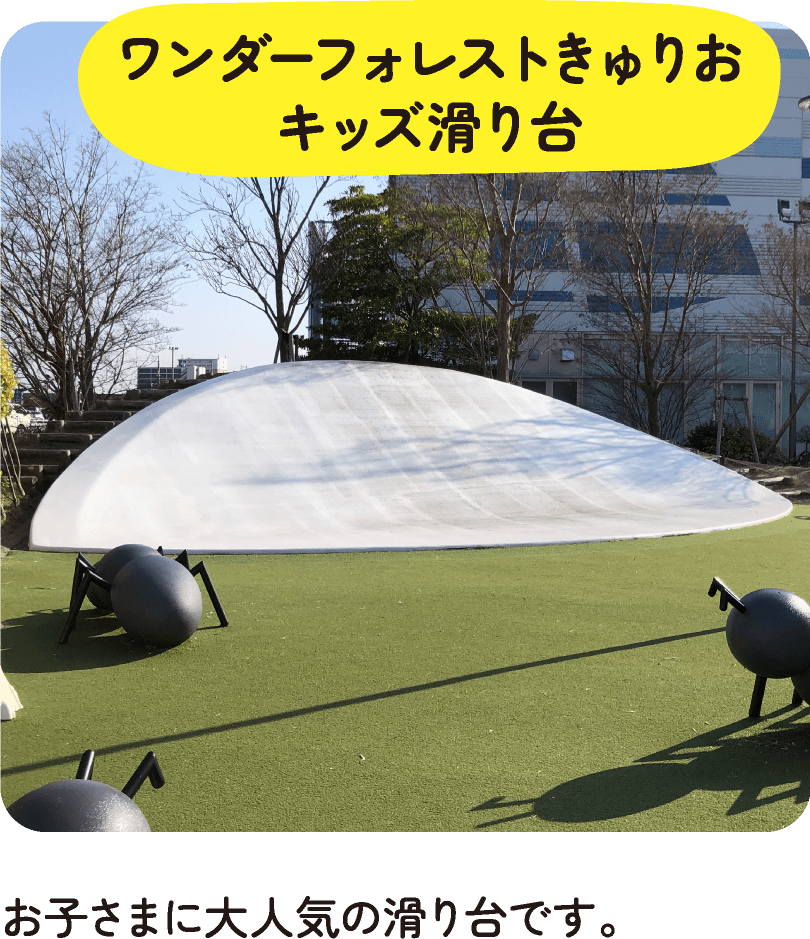 ワンダーフォレストきゅりお キッズ滑り台