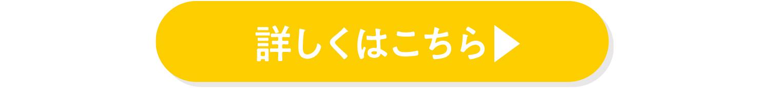 イオンモール豊川 詳しくはこちら