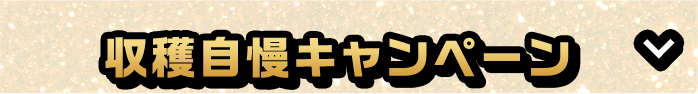 ブラックフライデーで購入した商品をSNSで自慢しちゃおう！ 収穫自慢キヤンペーン