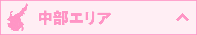 中部エリア