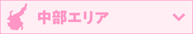 中部エリア