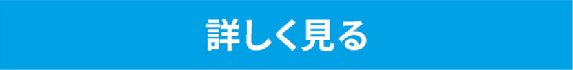 詳細はこちらをチェック