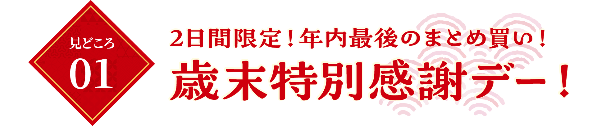 見どころ01　2日間限定！年内最後のまとめ買い！　歳末特別感謝デー！