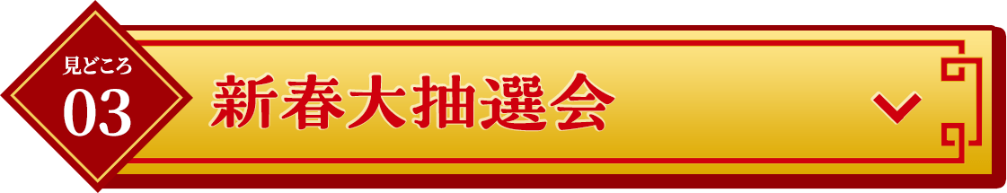 見どころ03新春大抽選会