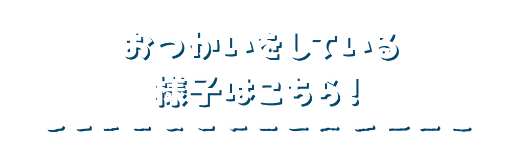 おつかいをしている様子はこちら！