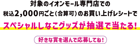 対象のイオンモール専門店での税込2,000円ごと(合算可)のお買い上げレシートでスペシャルしなこグッズが抽選で当たる!好きな賞を選んで応募してね!