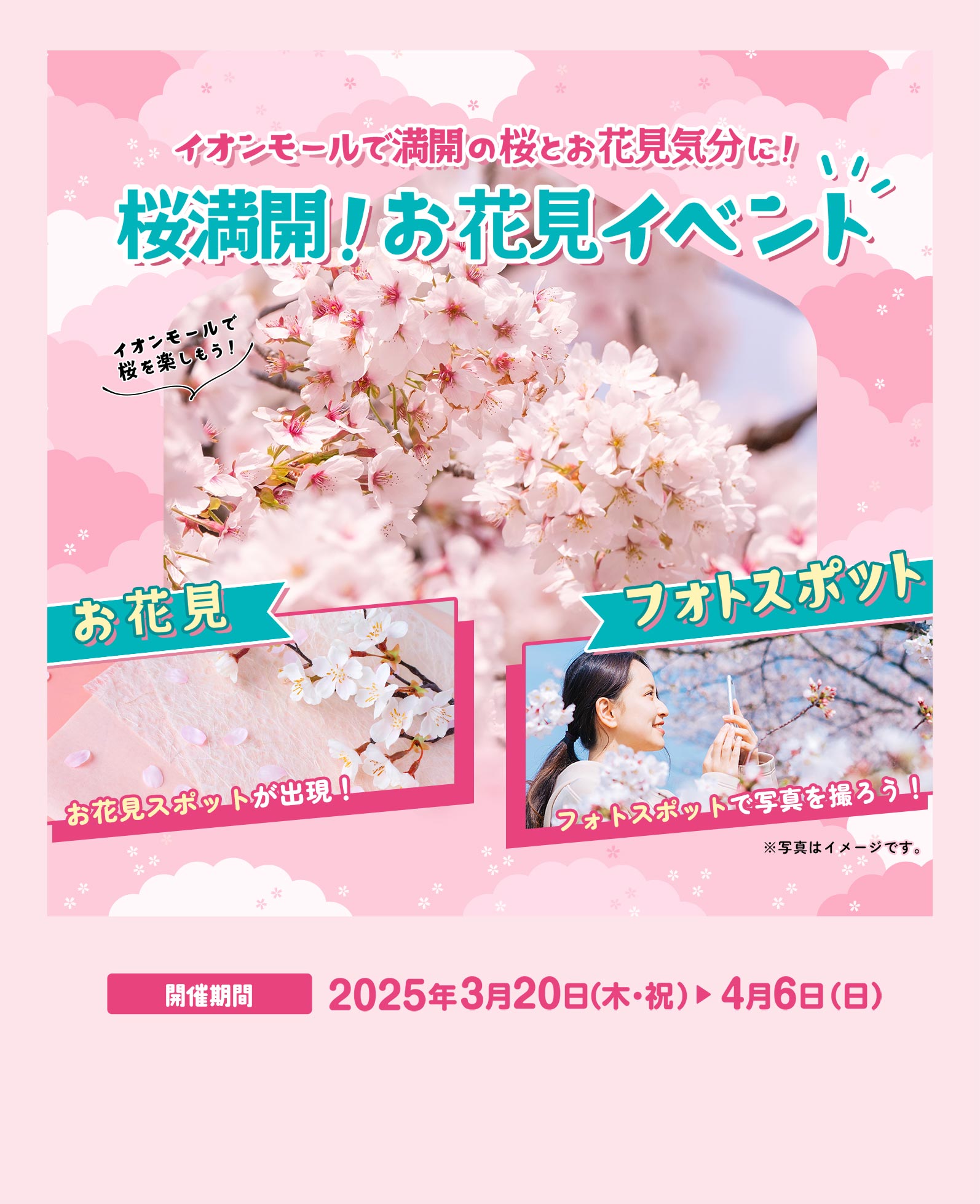 イオンモールで満開の桜とお花見気分に！ 桜満開！お花見イベント