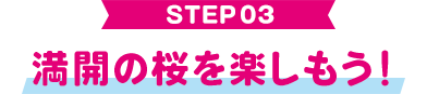STEP 03 満開の桜を楽しもう！