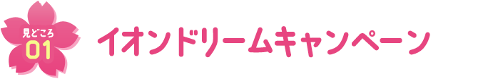 見どころ01 イオンドリームキャンペーン