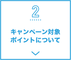 2 キャンペーン対象ポイントについて