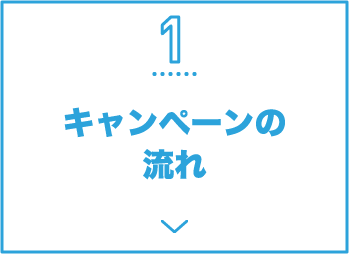 1 キャンペーンの流れ