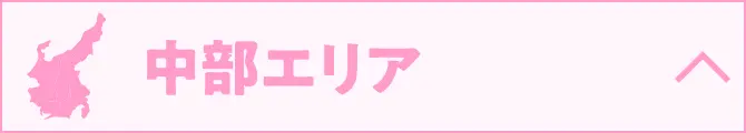 中部エリア