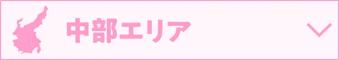 中部エリア